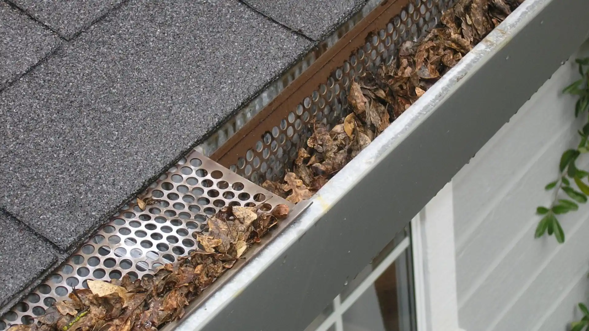 Mesh gutter guard installed over a residential gutter